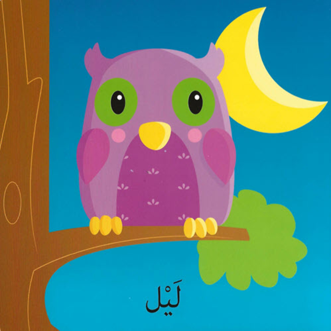 كلمات وصور – الأضداد