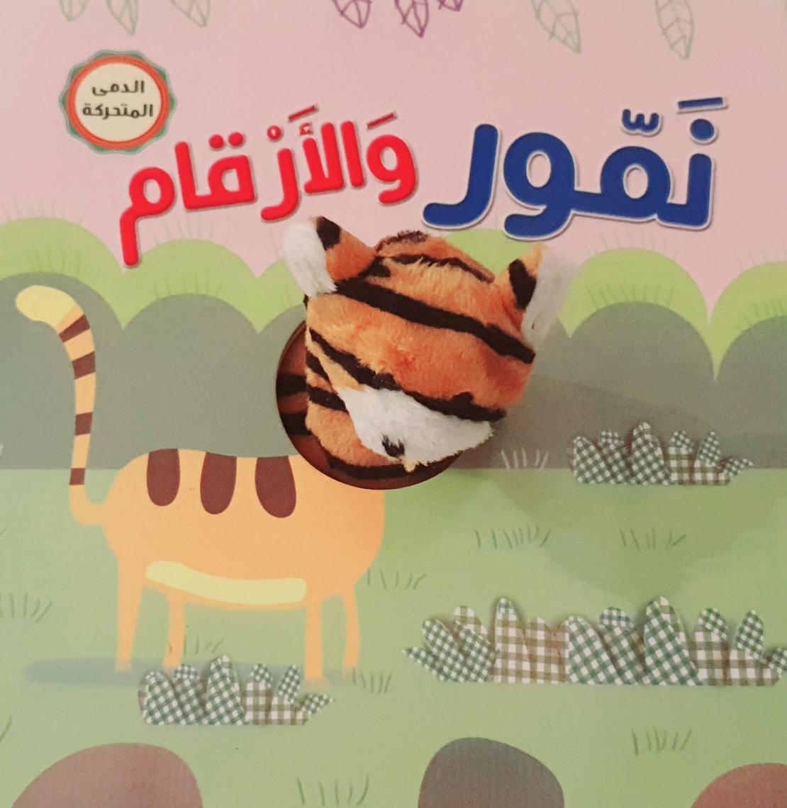 نمور والأرقام