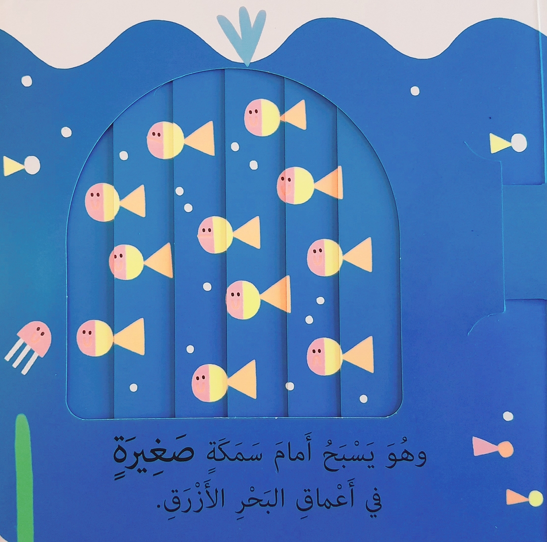 كبير وصغير - نوافذ ومفاجات
