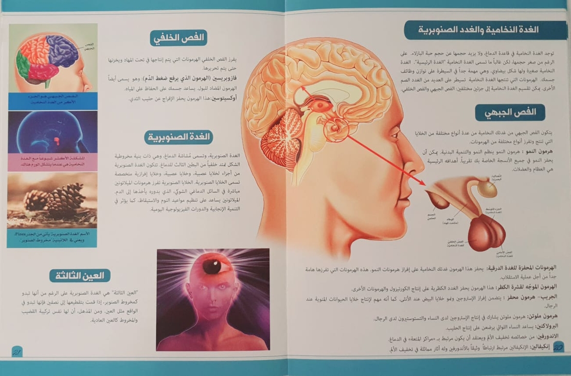 موسوعة جسم الانسان - الجهاز العصبي والجهاز المناعي والغدد