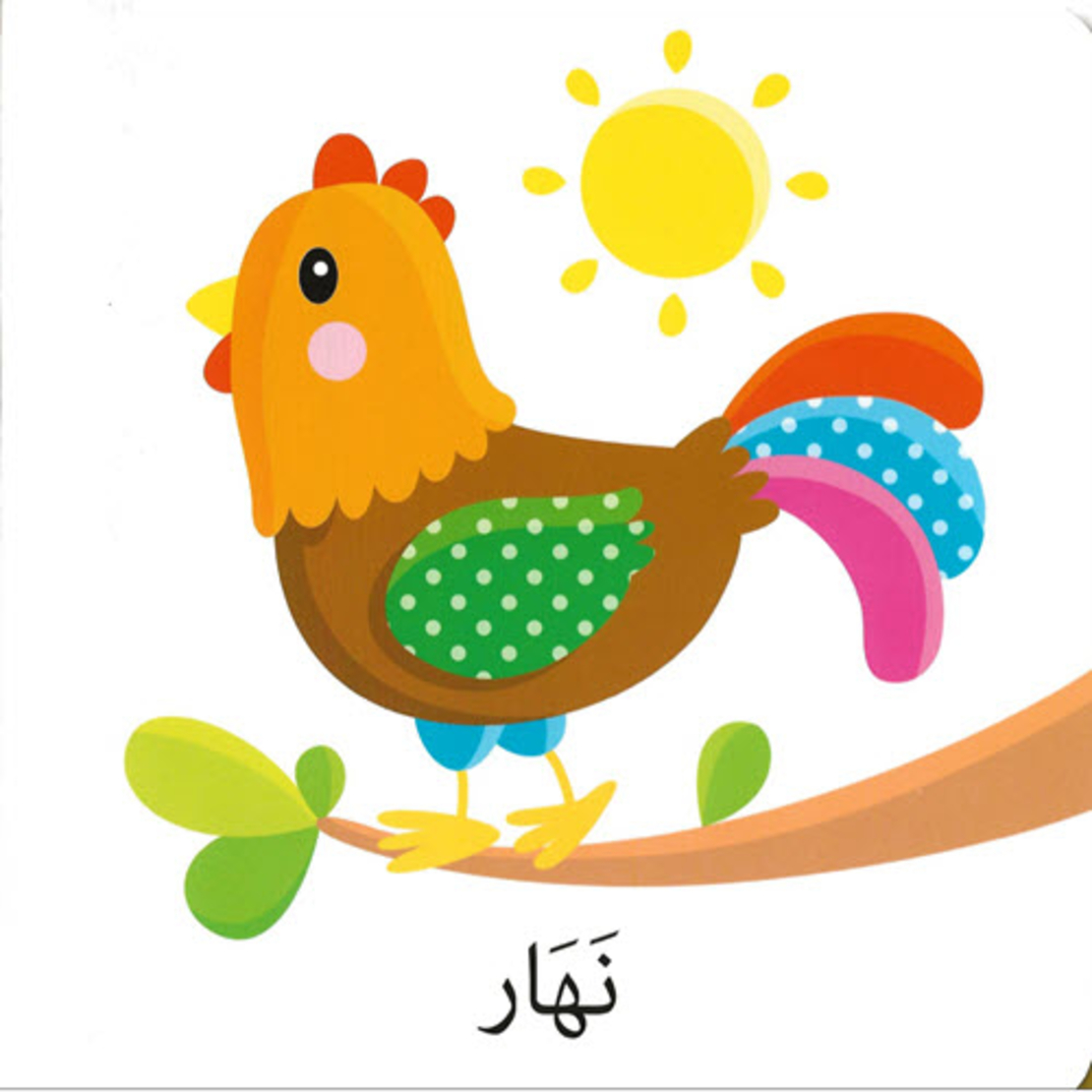 كلمات وصور – الأضداد