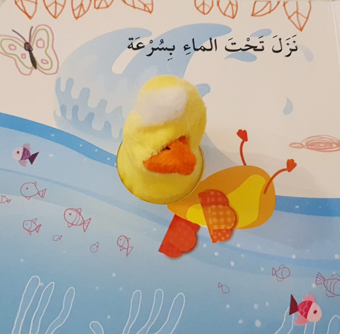 بطوط والاتجاهات
