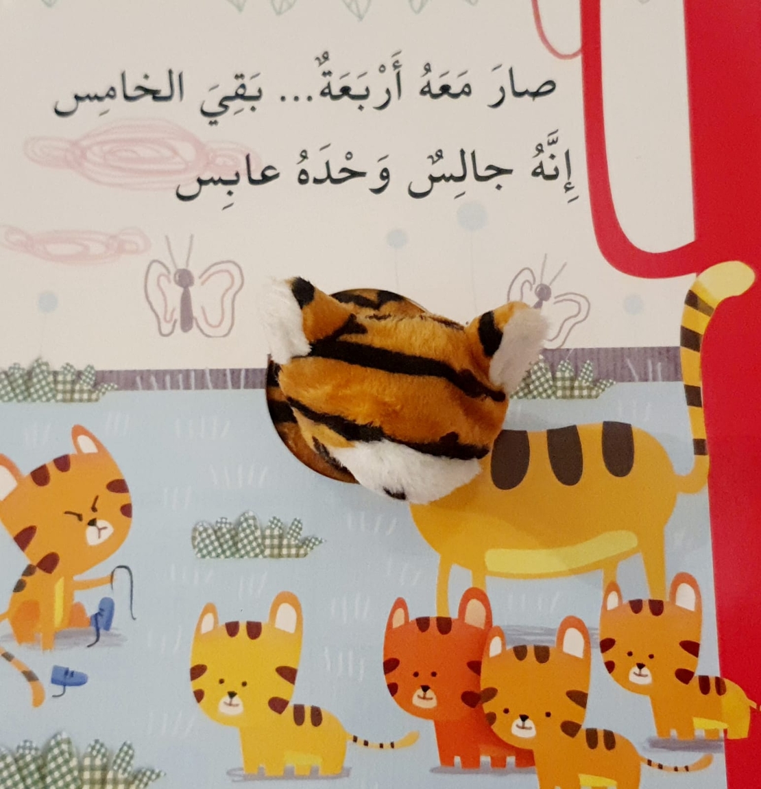 نمور والأرقام