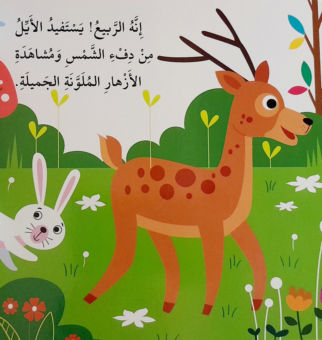 الفصول - كتاب الأحجية الكبيرة