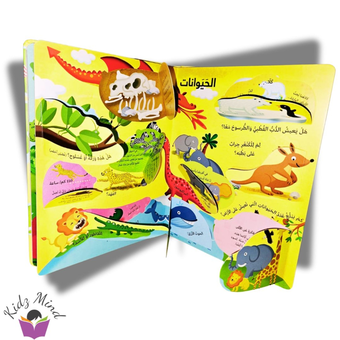 العالم - كتابي الكبير يجيب