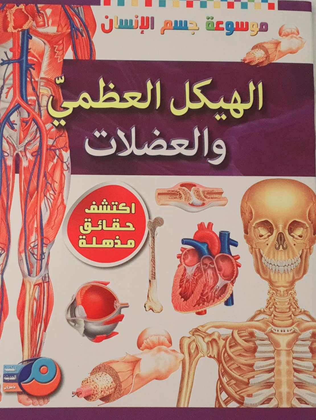موسوعة جسم الانسان - الهيكل العظمي والعضلات