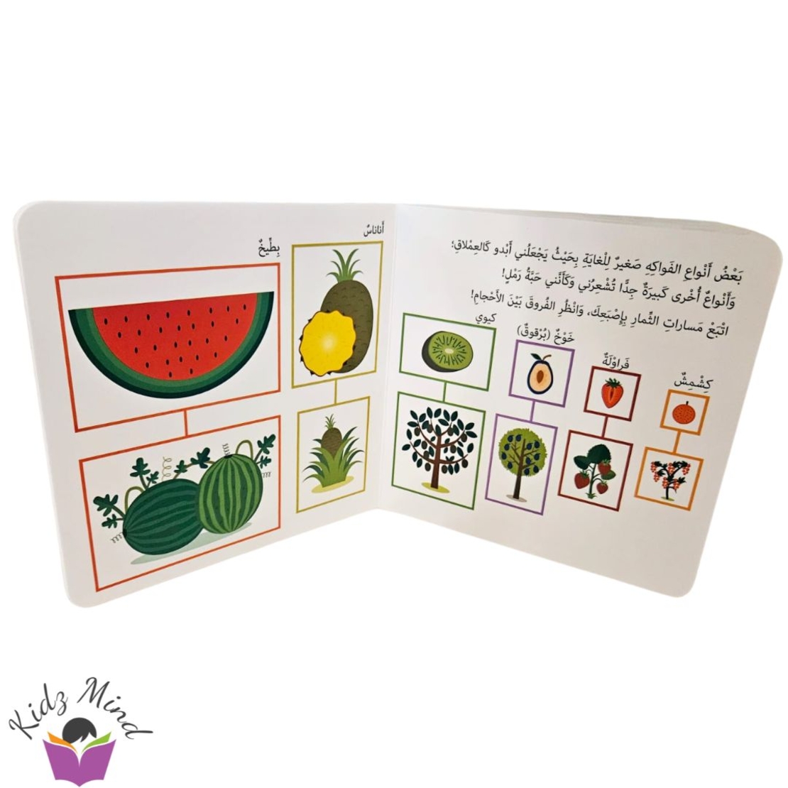 حديقة الخضروات - مونتيسوري