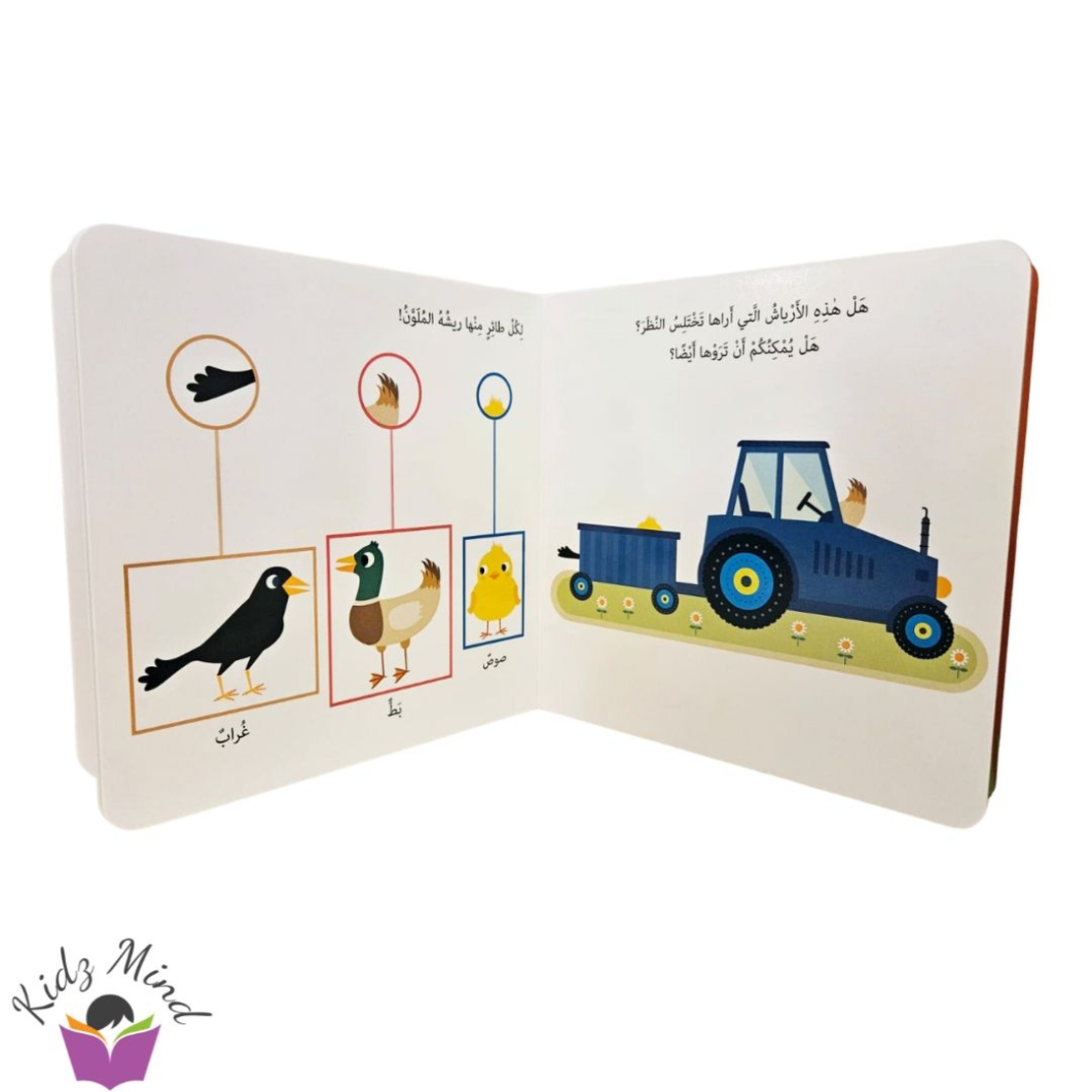 حيوانات المزرعة - مونتيسوري