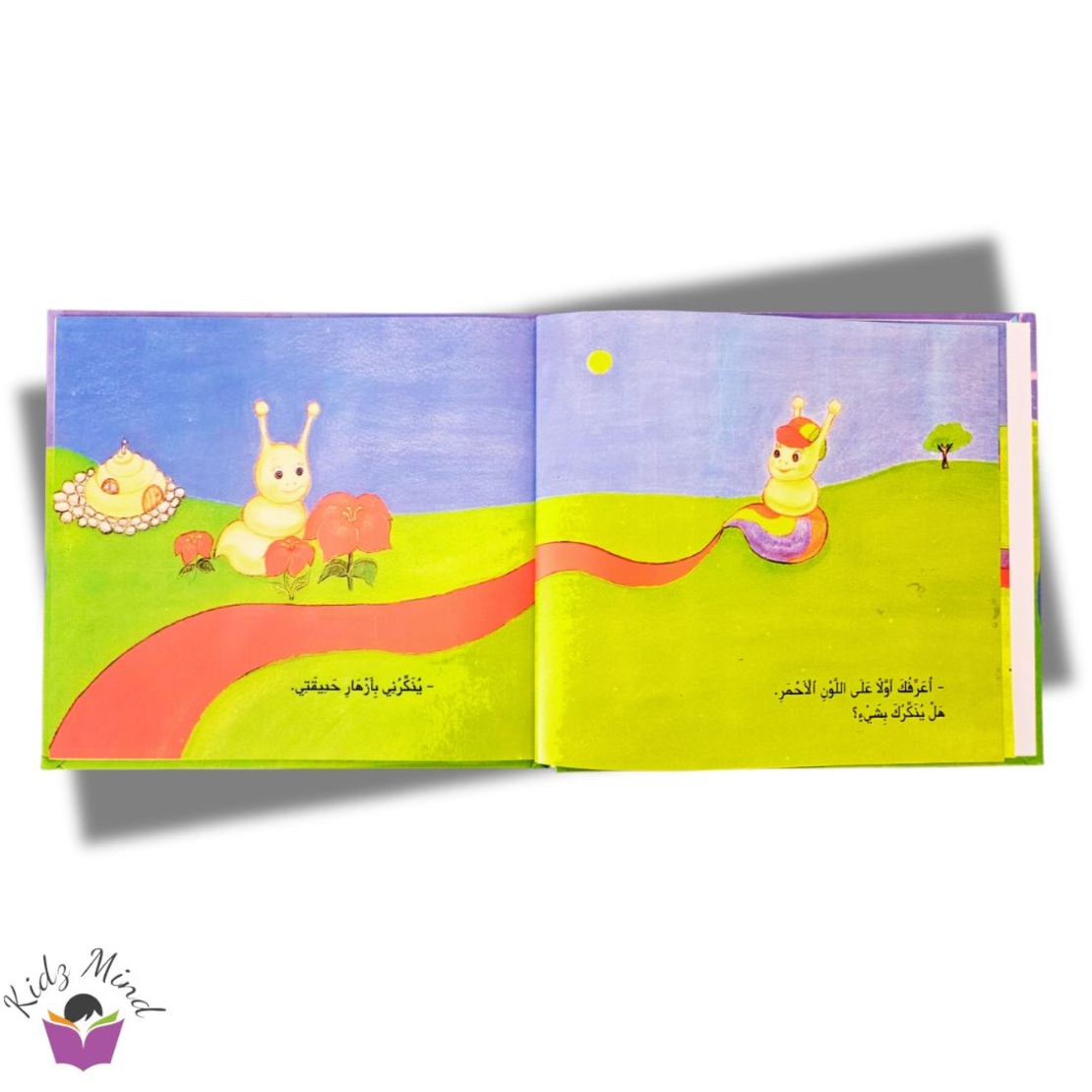 الحلزون شون يتعرف على الألوان