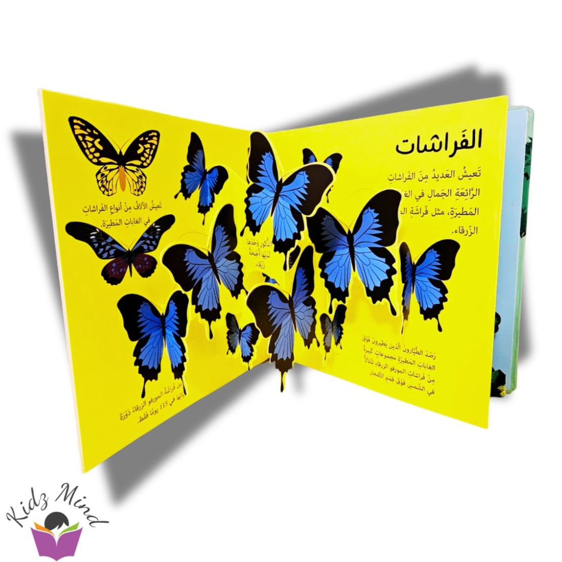 الغابة