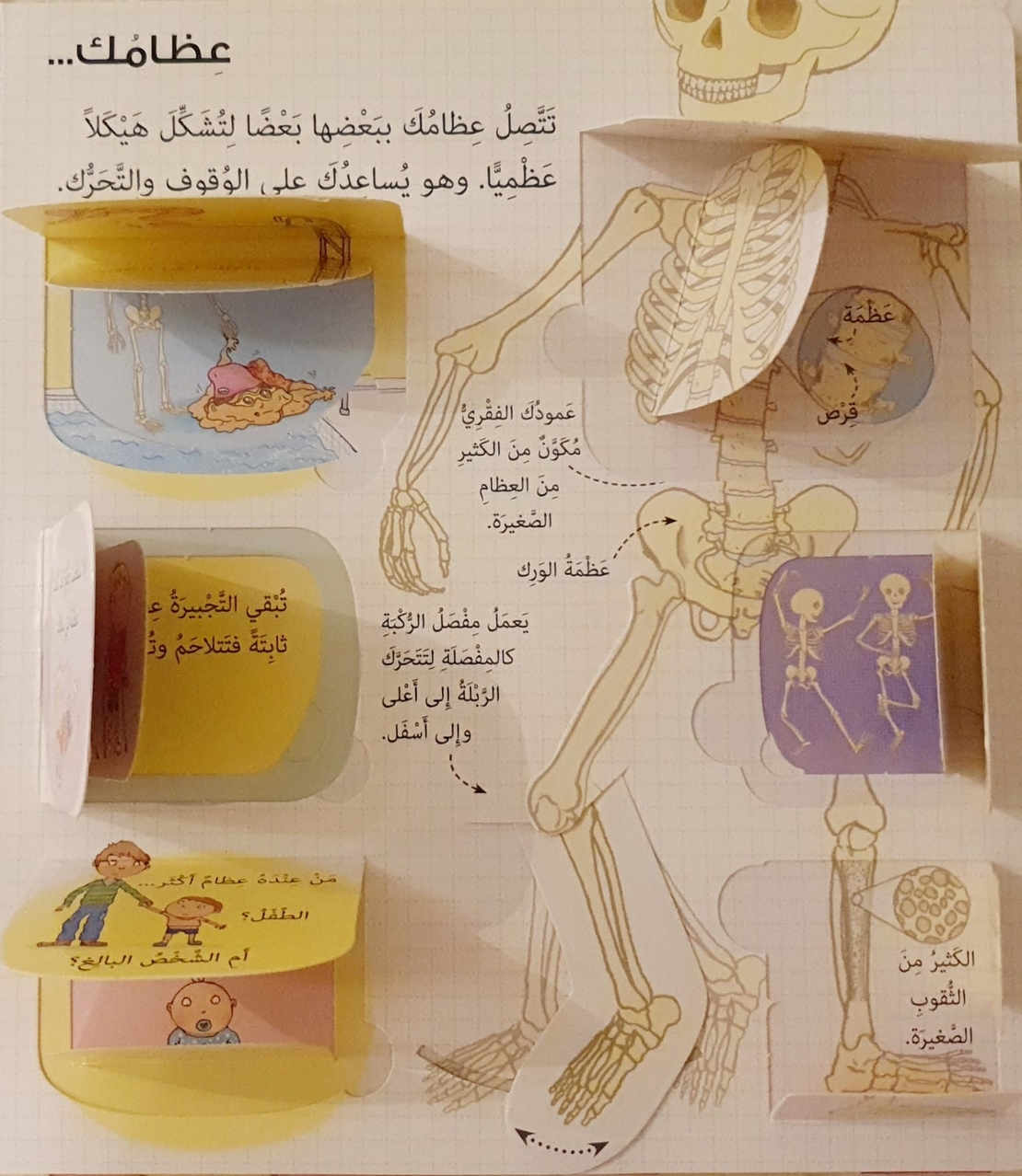انظر داخل جسمك