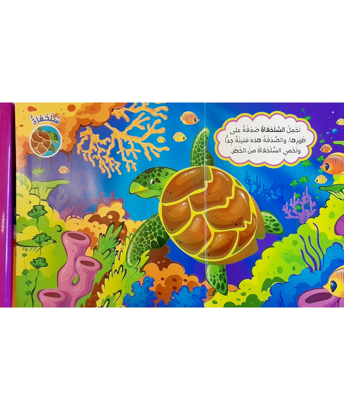 من يعيش في المحيط ؟ - أين تعيش الحيوانات ؟