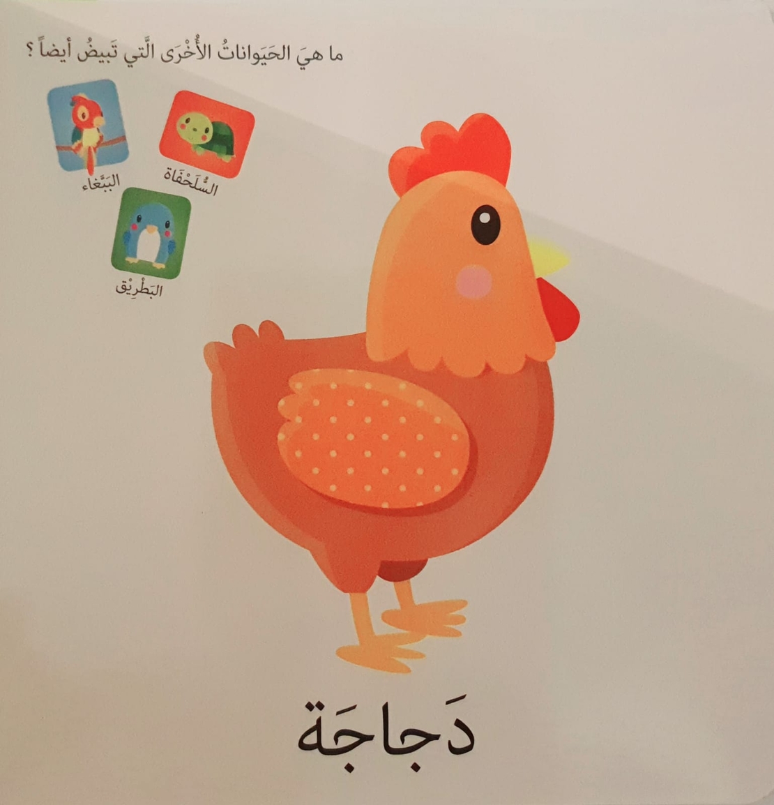 الحيوانات - كلمات وصور