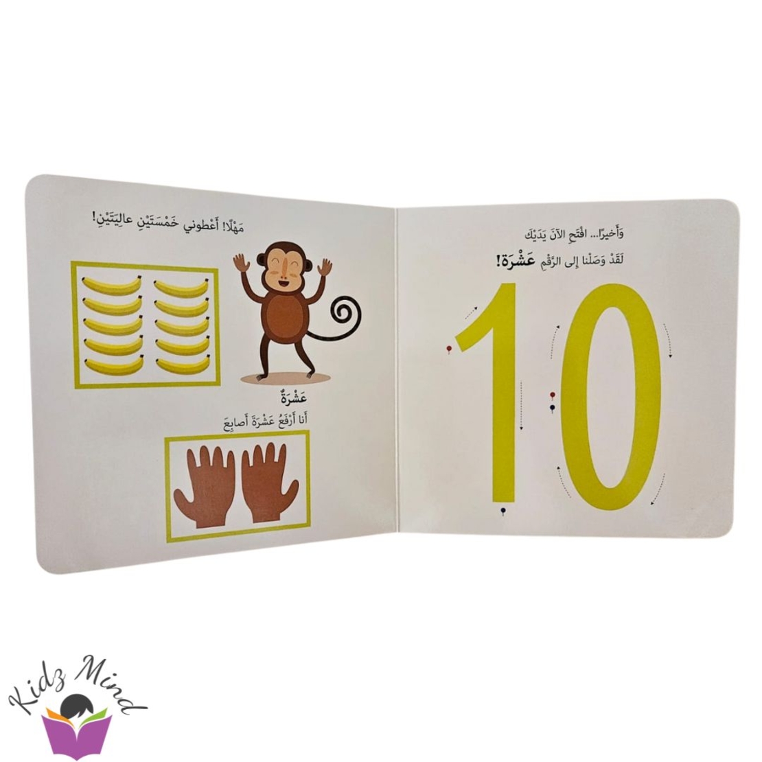 الأرقام - مونتيسوري