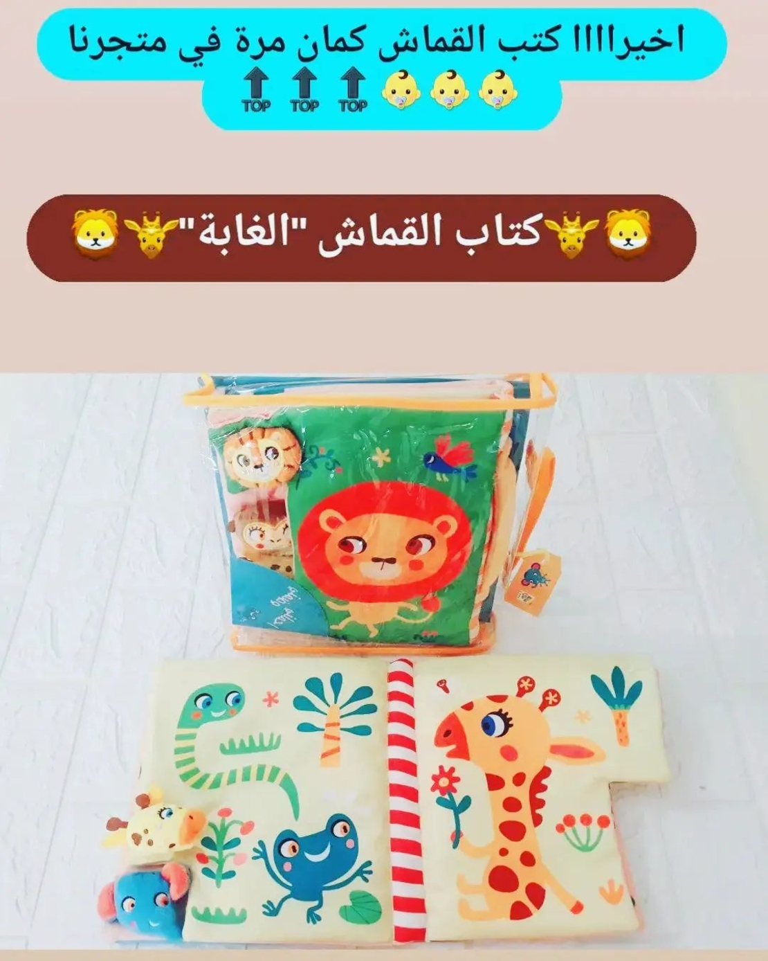 احملني وضمني الغابة