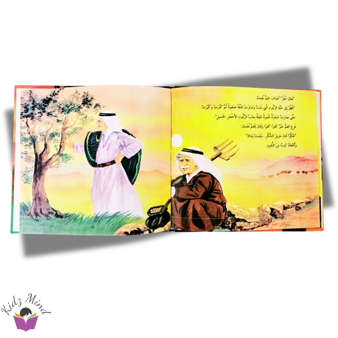 حبات الزيتون