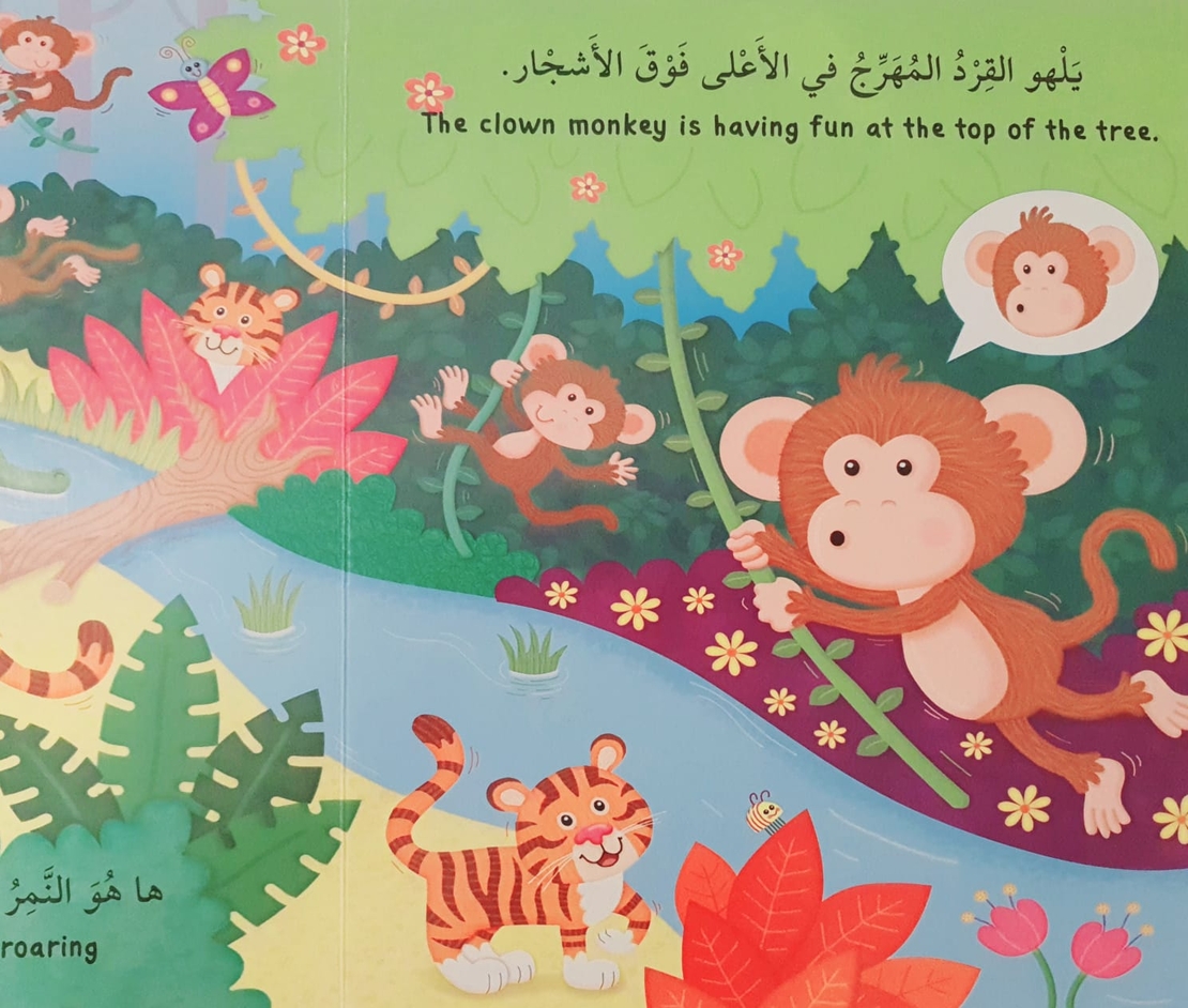 الحيوانات - ANIMALS