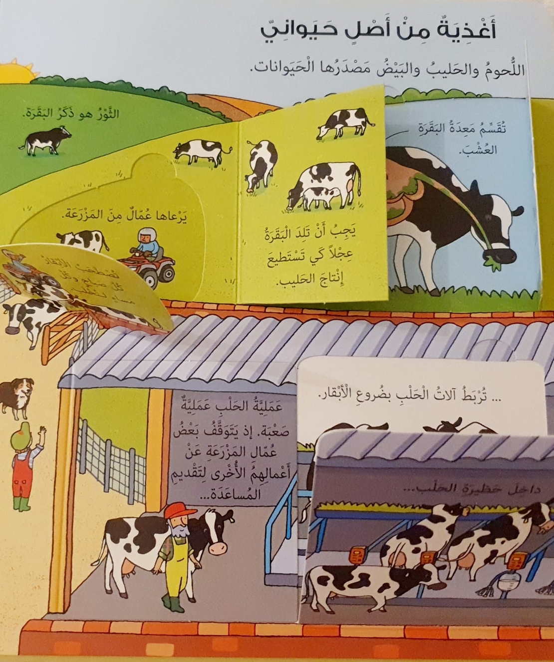 انظر داخل الطعام