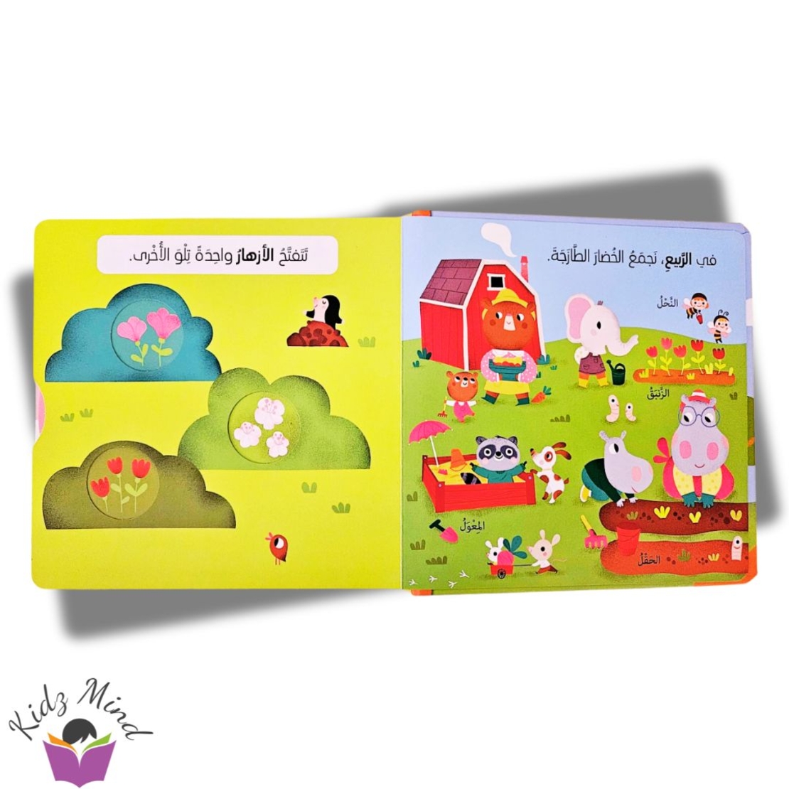 الفصول - كتاب تفاعلي