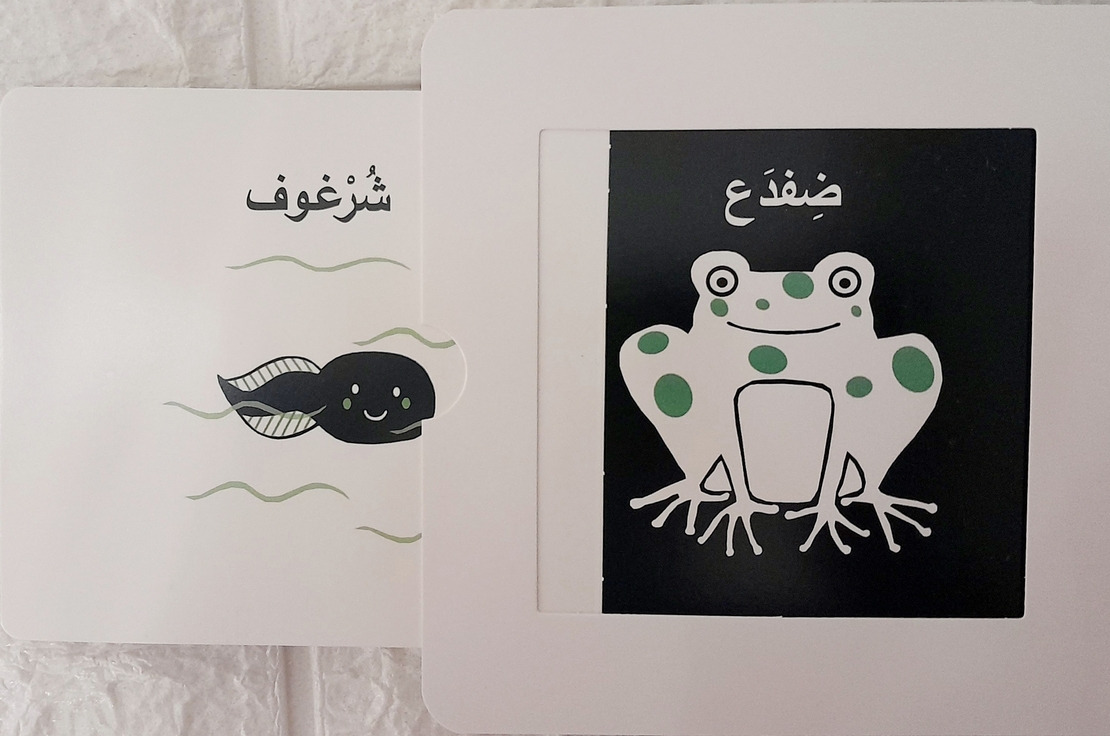 أكبر , وأنمو - كتاب التحفيز البصري للأطفال الرضع
