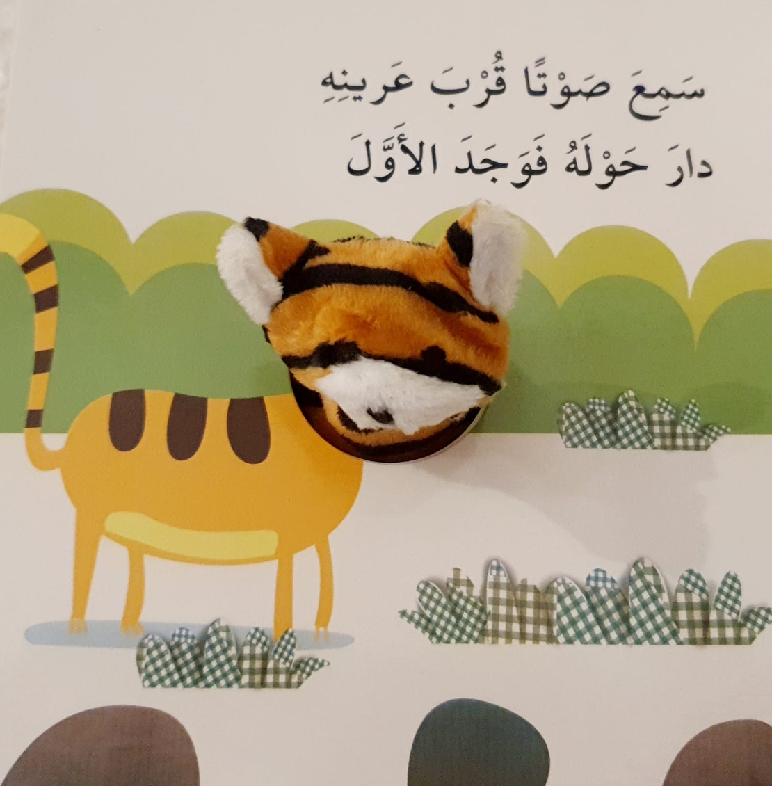 نمور والأرقام