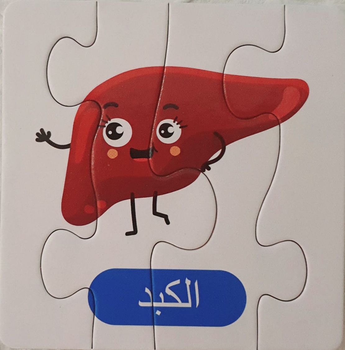 أجزاء من ألغاز الجسم