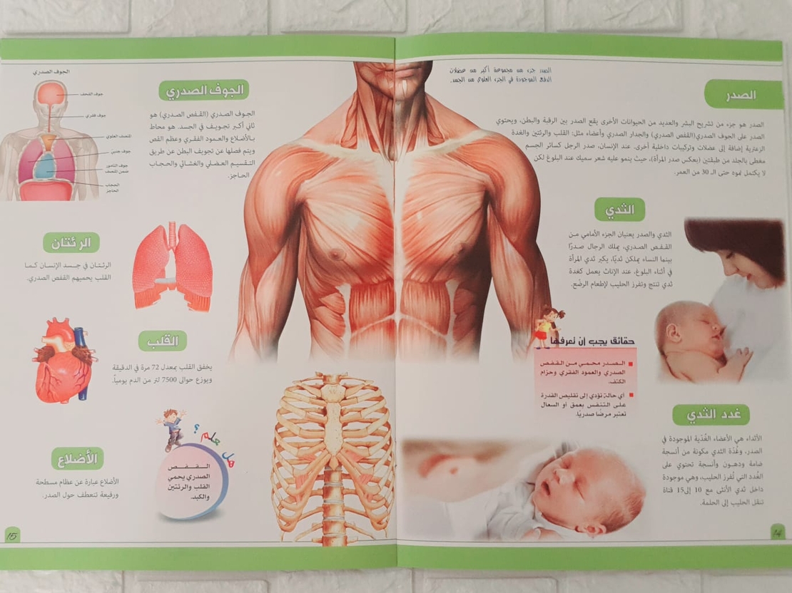 موسوعة جسم الانسان - أعضاء جسم الانسان