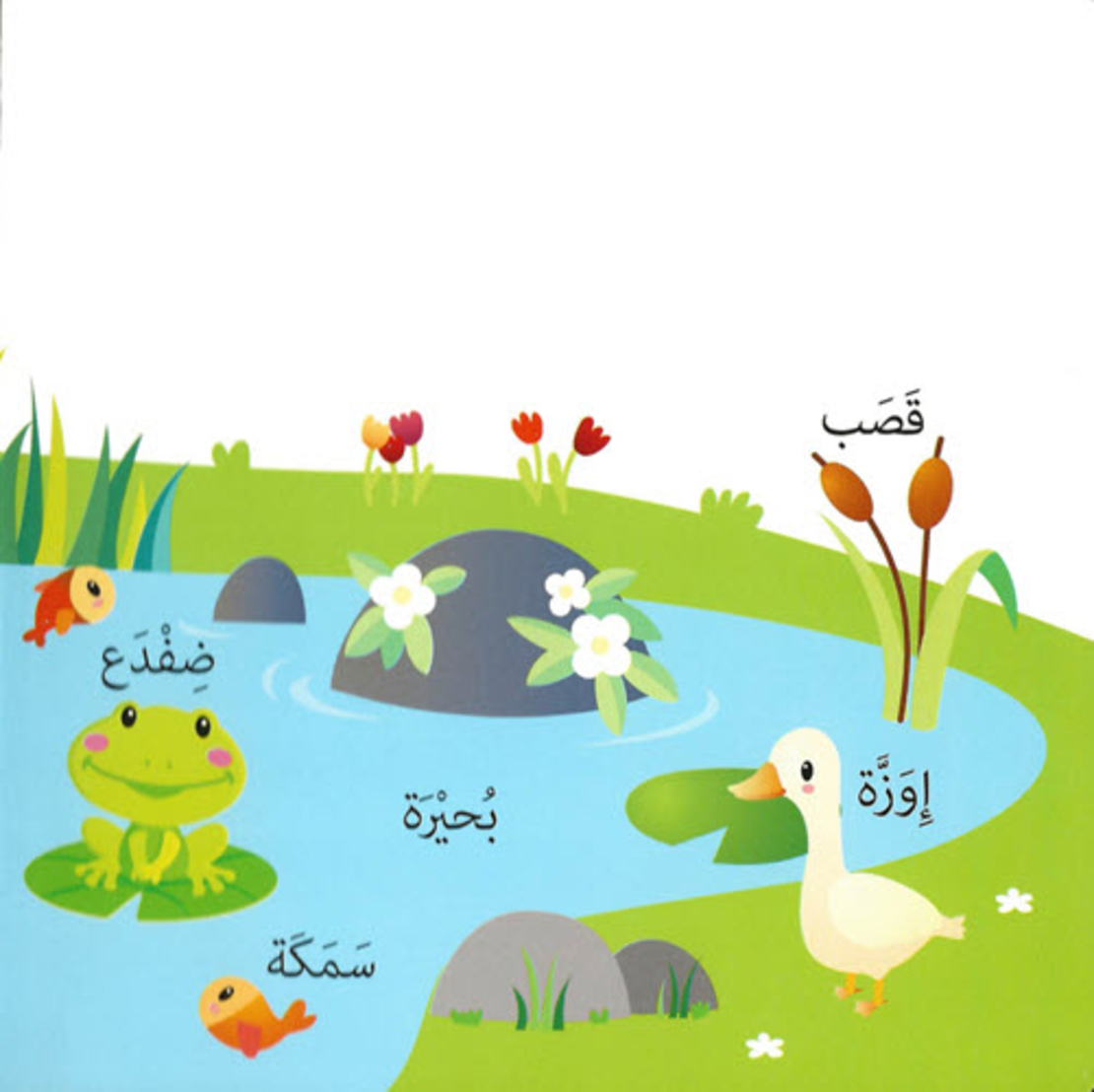 كلمات وصور – المغامرات البحرية