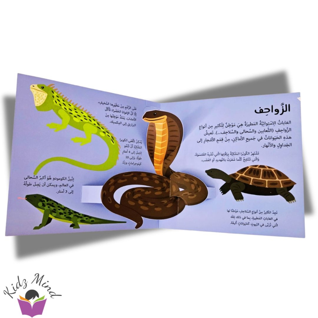 الغابة