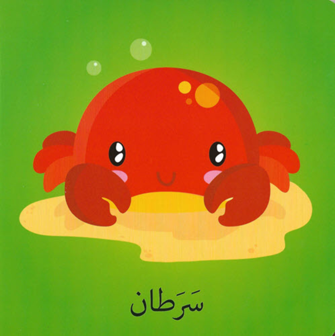 كلمات وصور – المغامرات البحرية