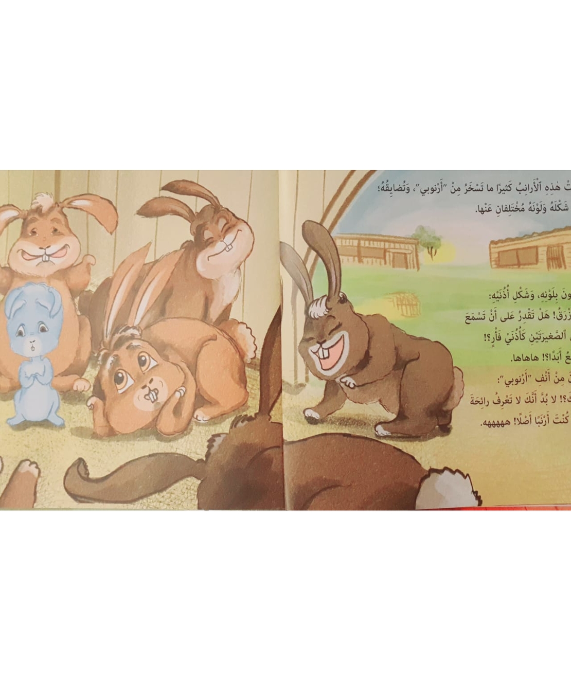 أرنوبي