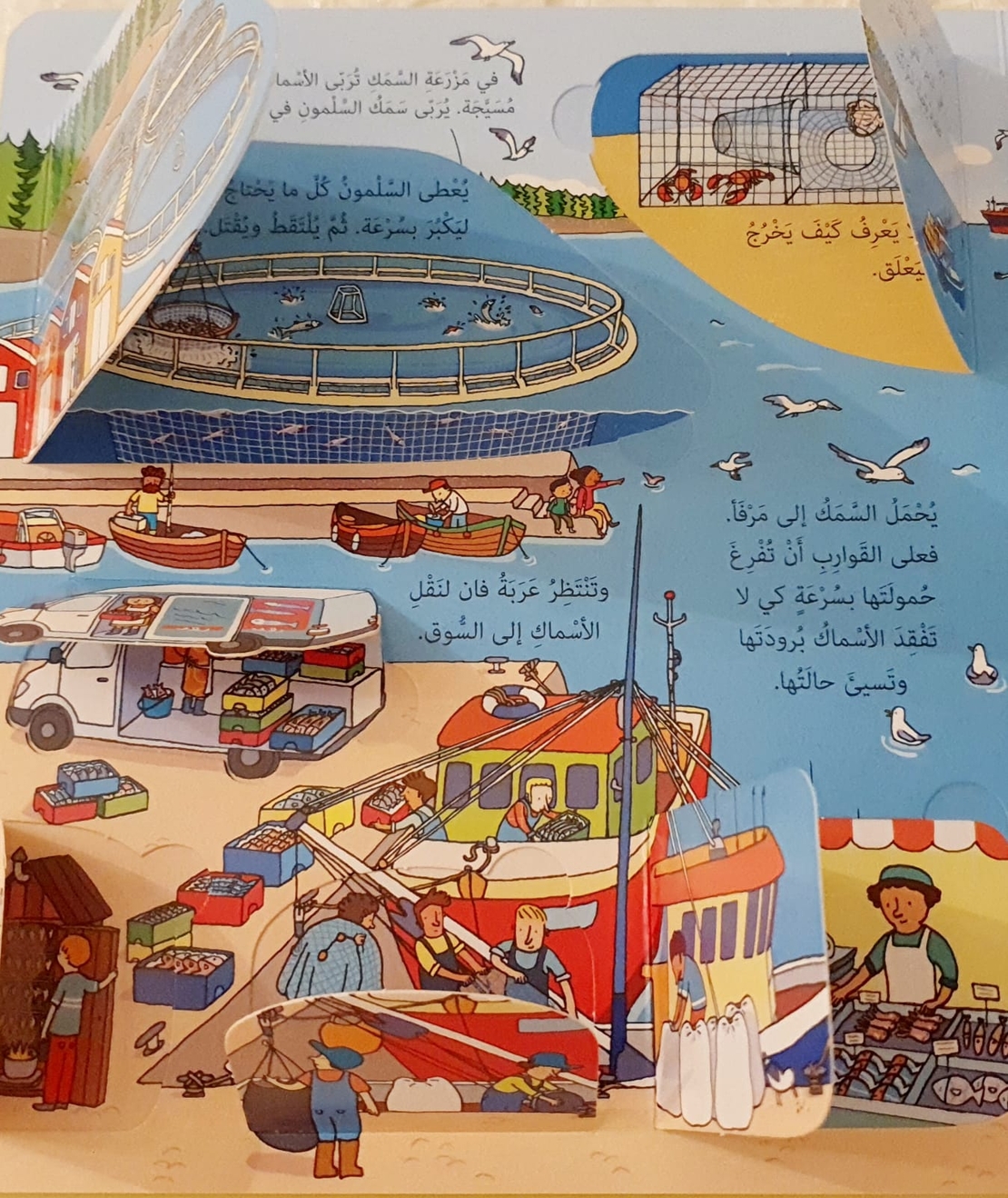 انظر داخل الطعام