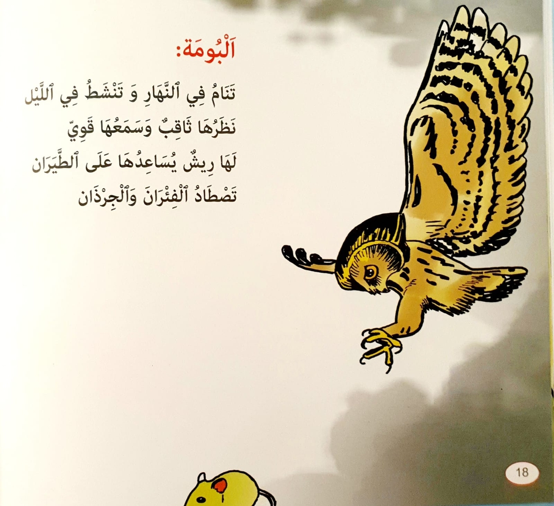 الطيور