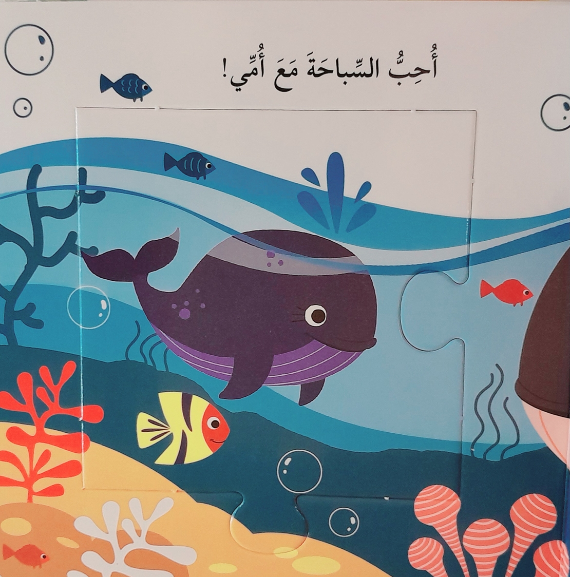 حيوانات البحر - كتاب الأحجية الكبيرة