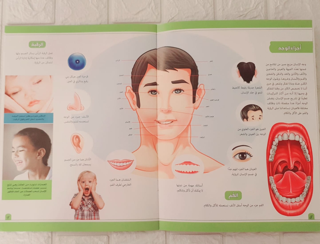 موسوعة جسم الانسان - أعضاء جسم الانسان