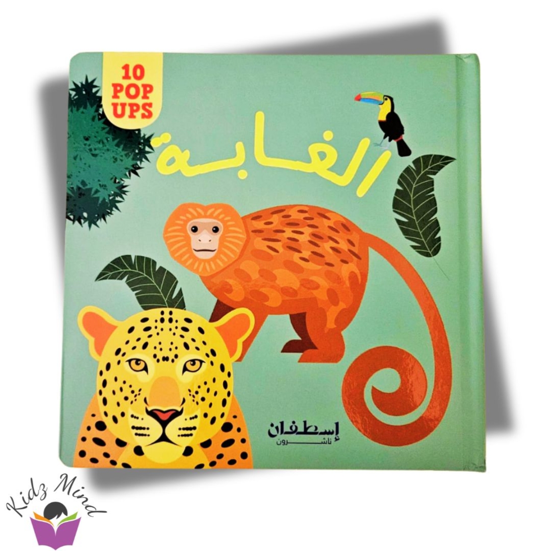 الغابة