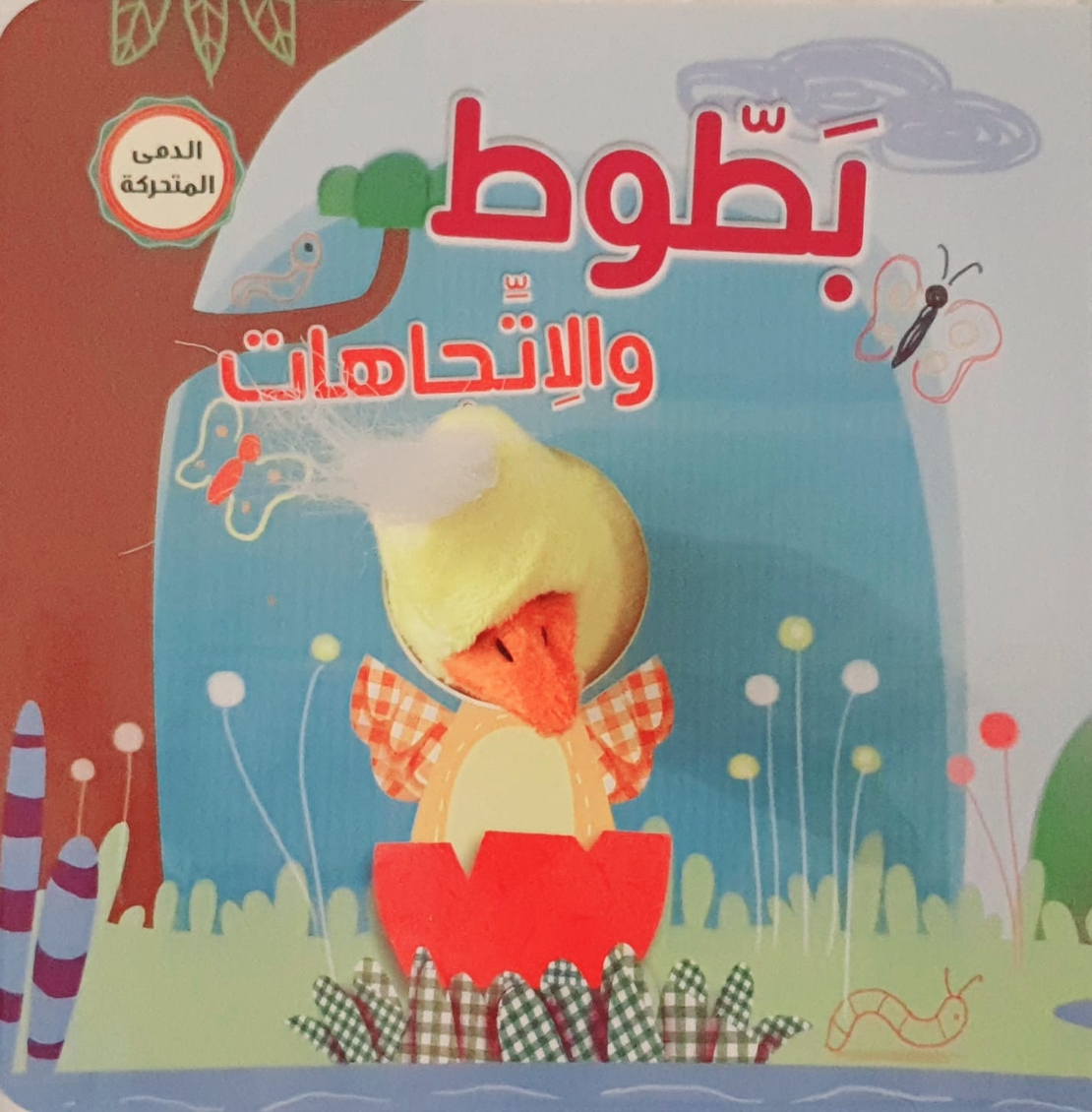 بطوط والاتجاهات
