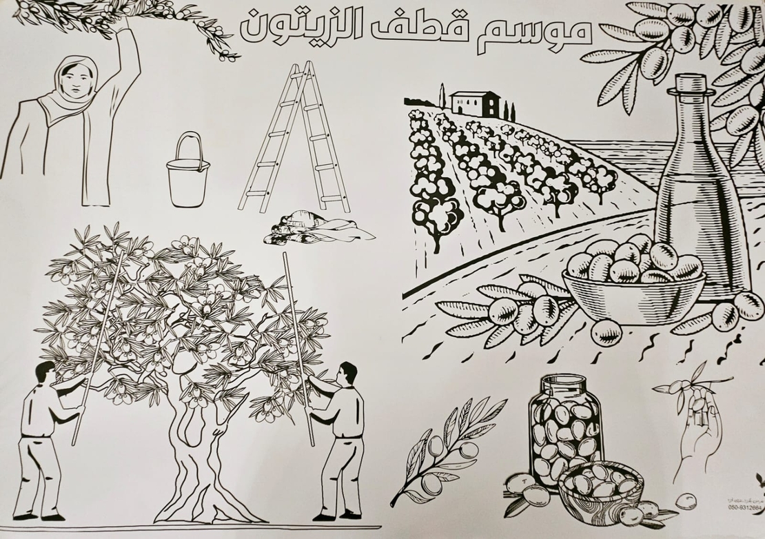 بوستر موسم قطف الزيتون
