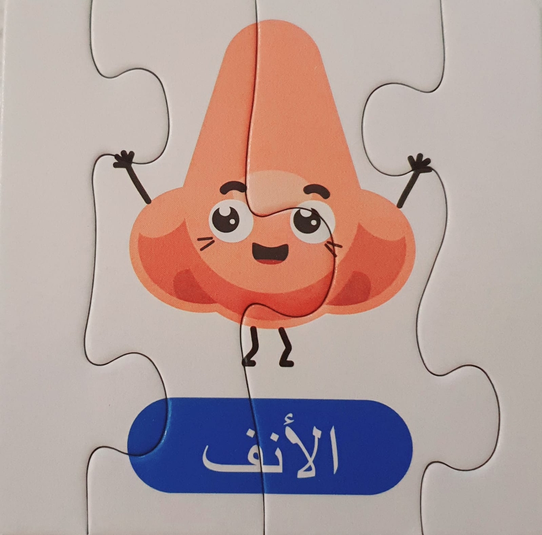 أجزاء من ألغاز الجسم