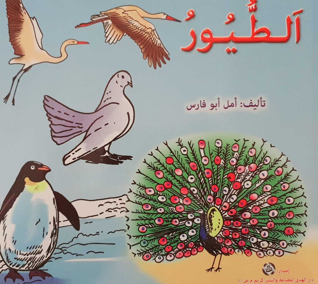 الطيور