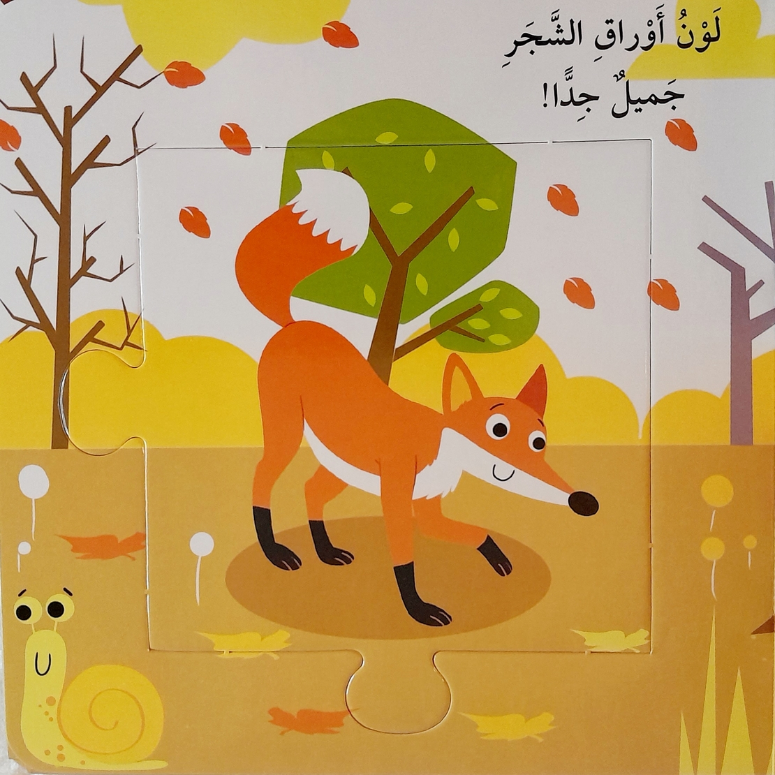 الفصول - كتاب الأحجية الكبيرة