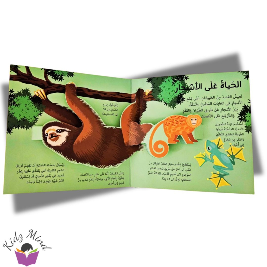 الغابة