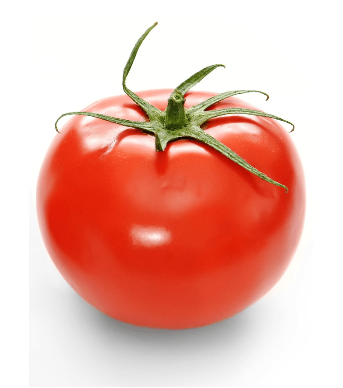 עגבניה