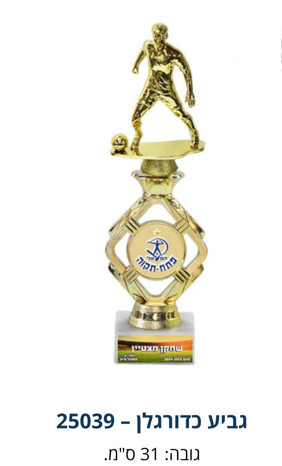 גביע הוקרה גובה 31 סמ