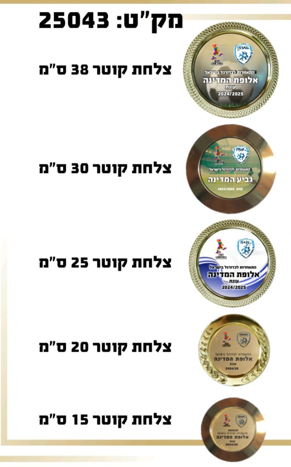 צלחת הוקרה/ צלחת אליפות גדלים שונים