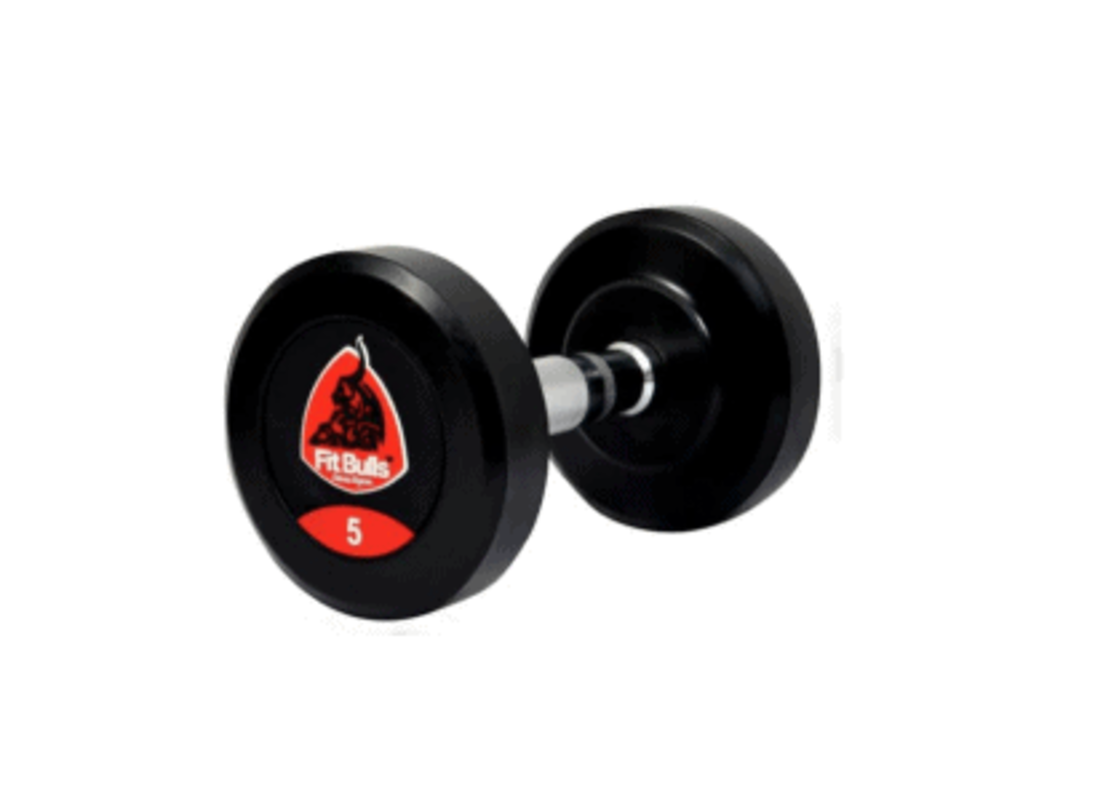 משקולות Urethane מקצועיות 5 ק