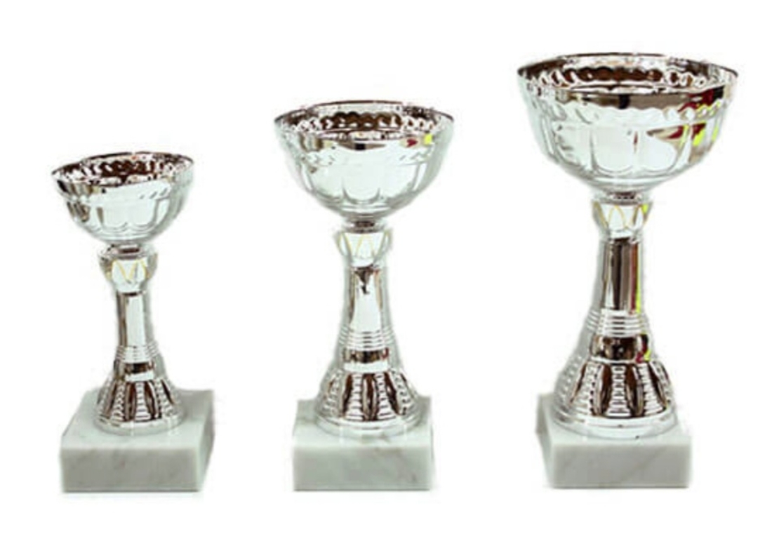 גביעי ירושלים – 442231