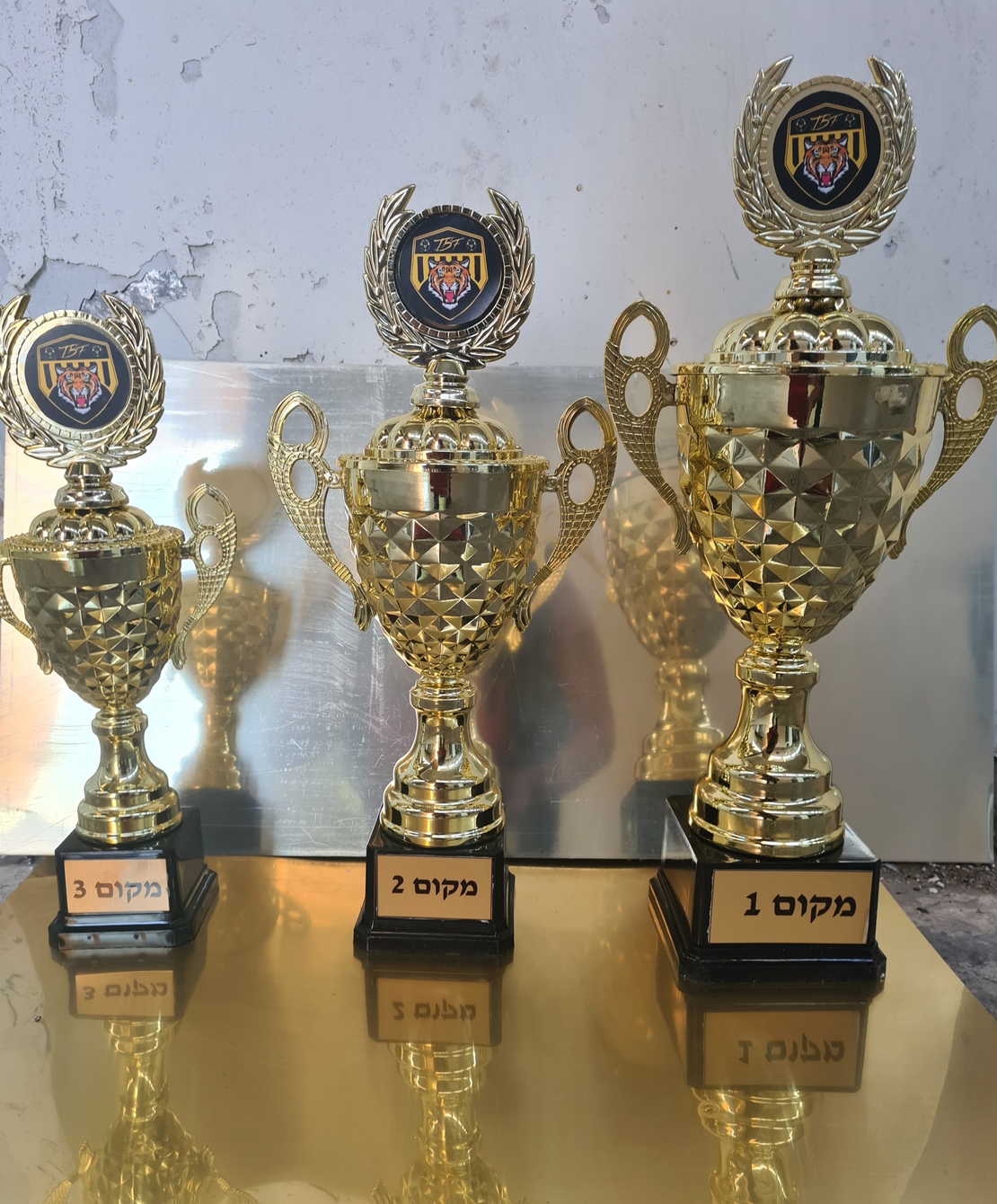 סט 3 יח גביע הוקרה ולוגו