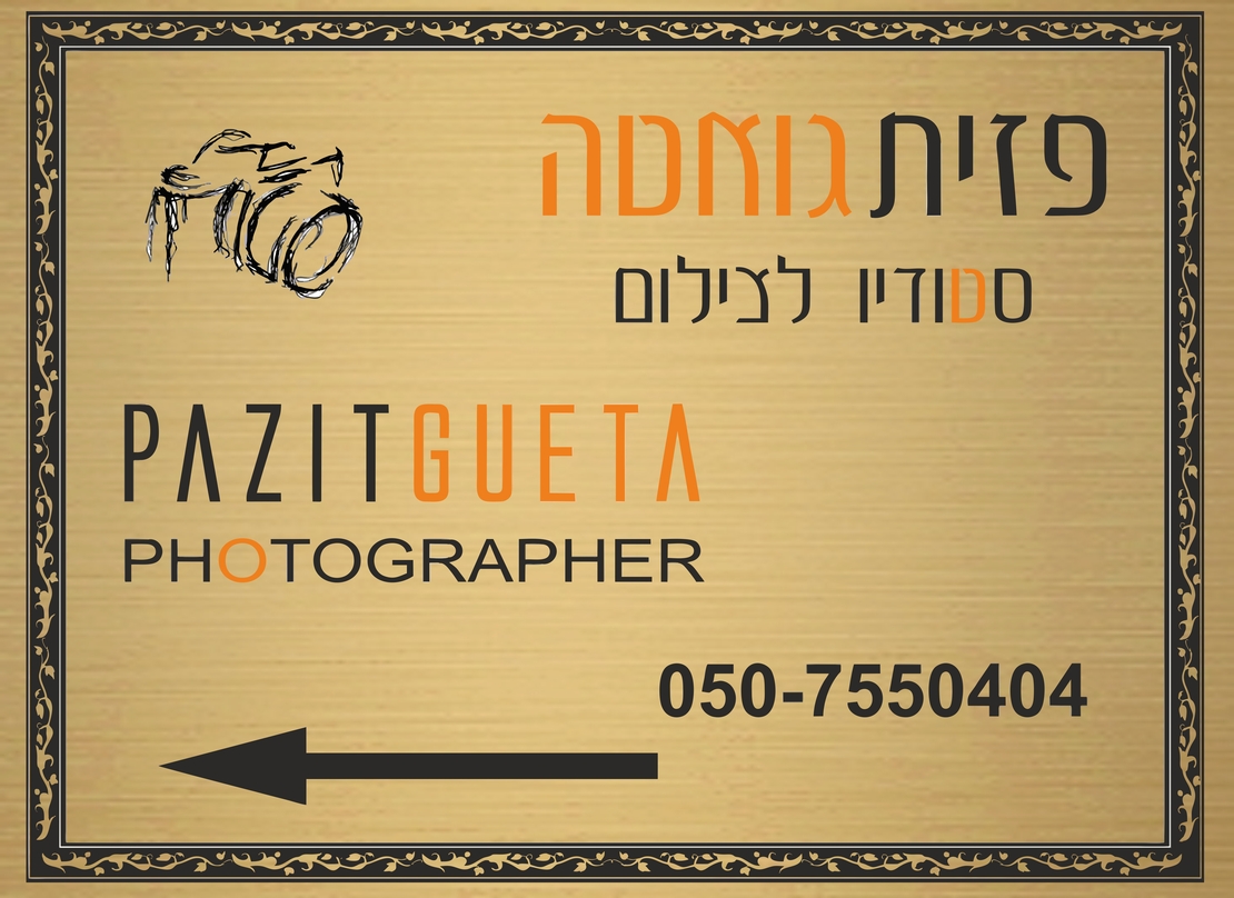 שלט