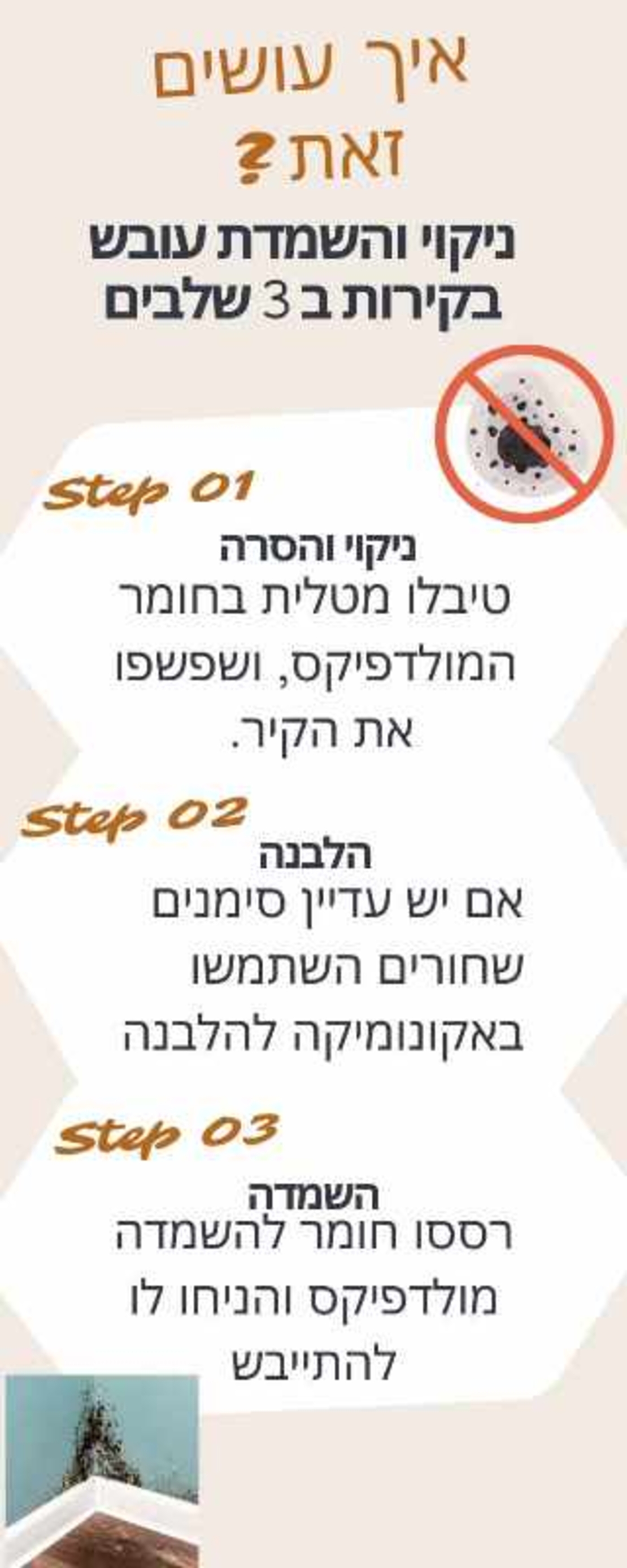 מולדפיקס משמיד ומחסל עובש לעומק המשטח, 5 ליטר עם מרסס חשמלי